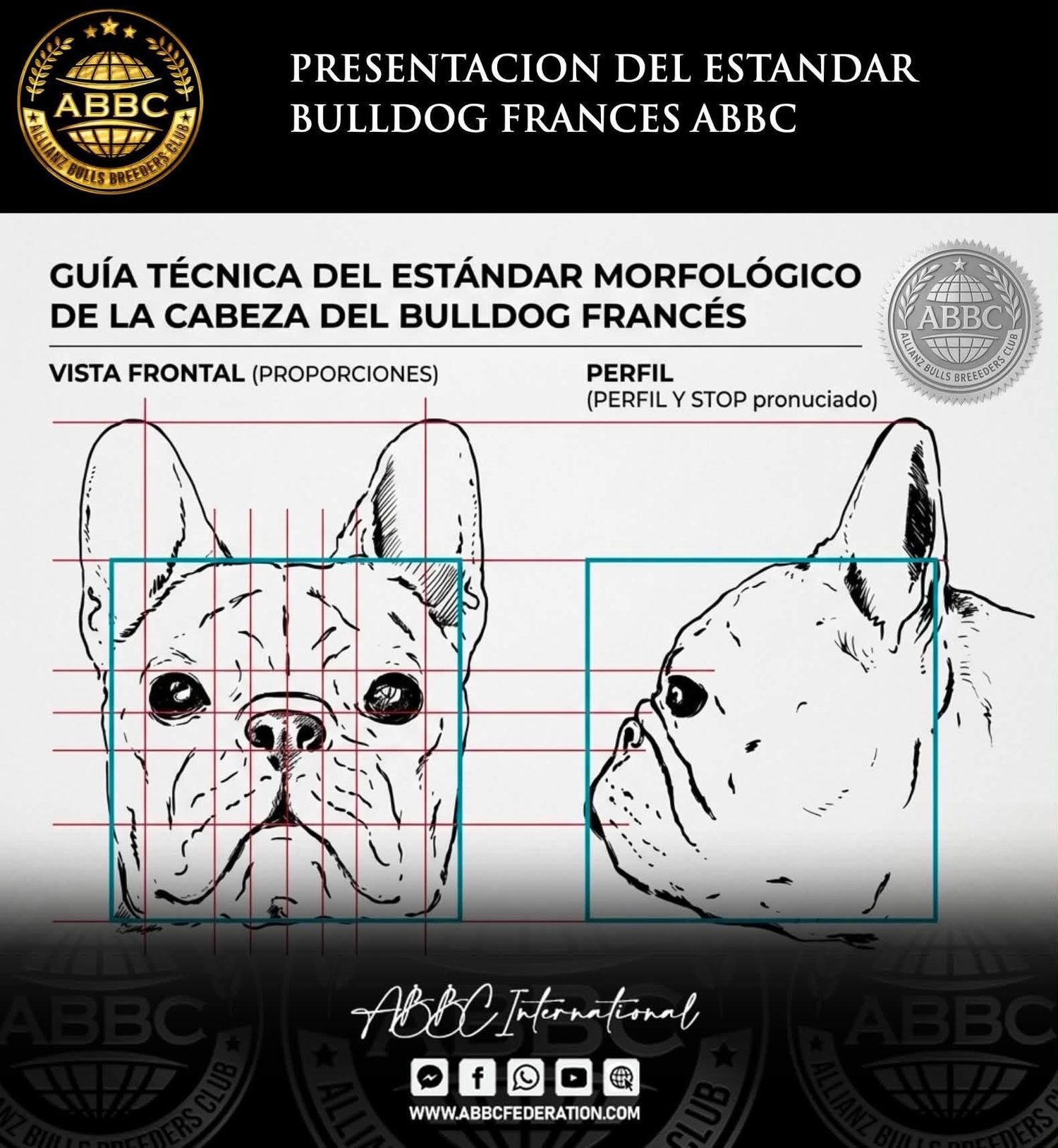 Guía técnica del estándar morfológico de la cabeza