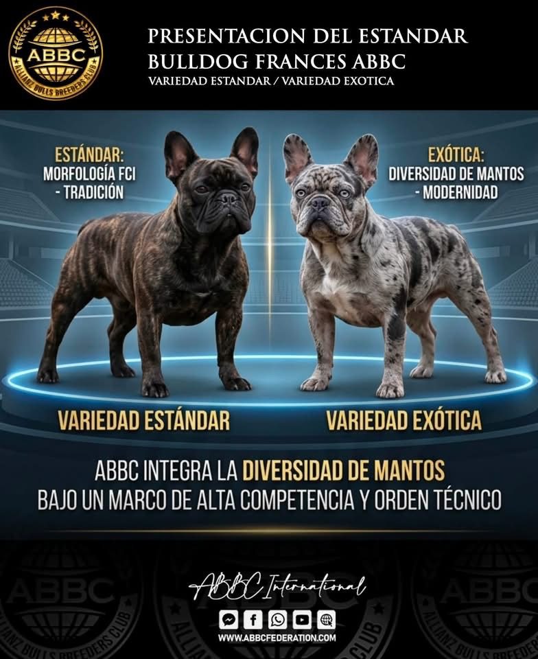 Presentación del estándar · variedad Estándar y variedad Exótica