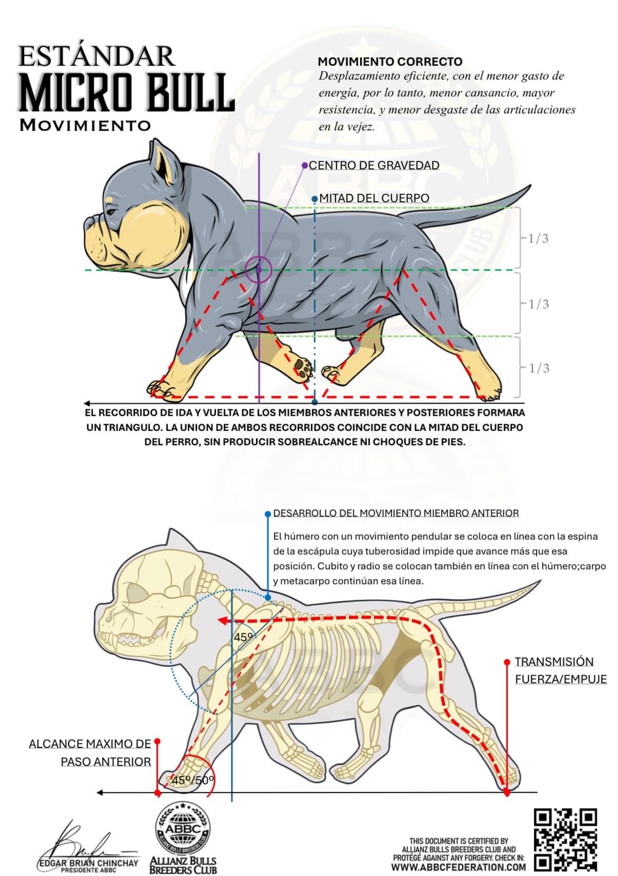 Estándar Micro Bull ABBC · movimiento